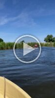 WhatsApp Video 2022-08-02 at 17.40.51