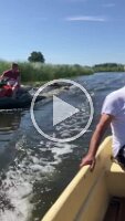 WhatsApp Video 2022-08-02 at 17.41.03