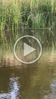 WhatsApp Video 2022-06-15 at 20.14.53