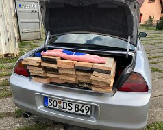 21.08.2023 KD bereitet Holz vor