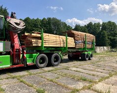 22.06.2023 Holz, Holz, Holz...